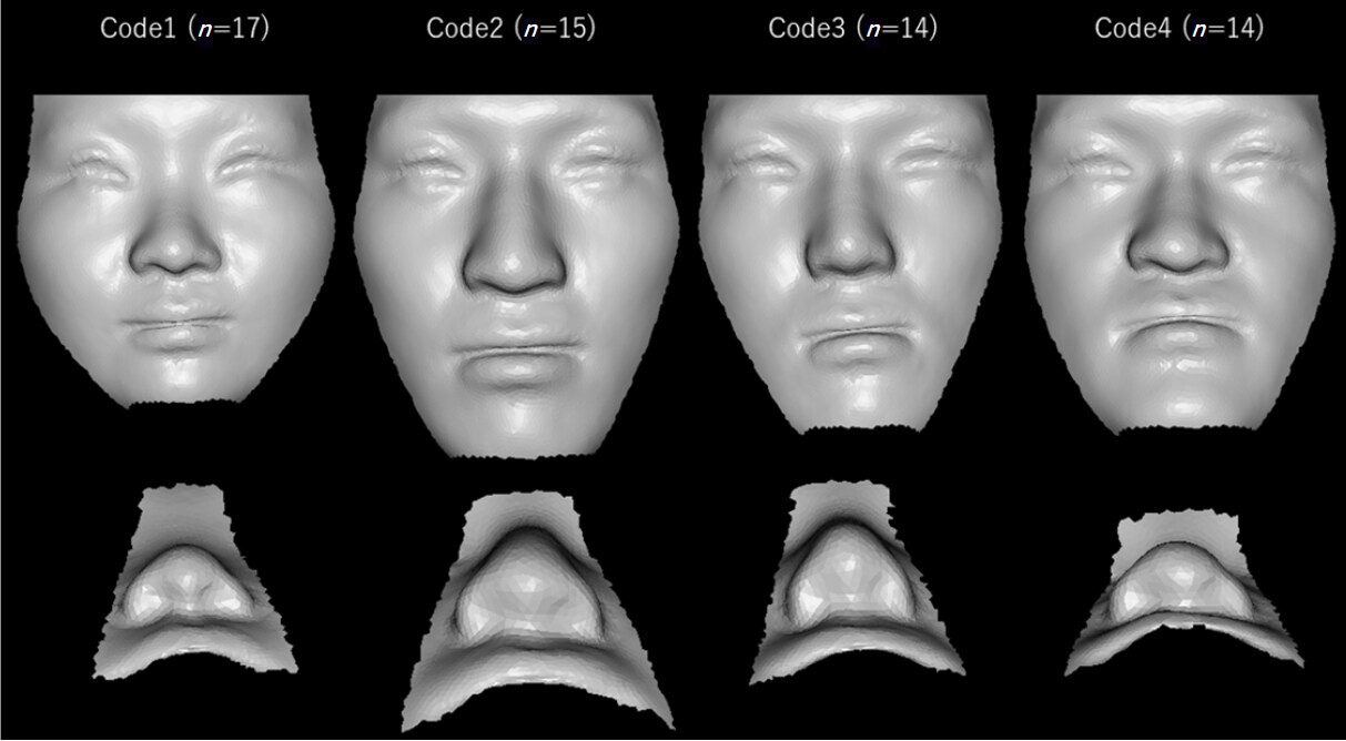 Facial morphospace: a clinical quantitative analysis of the three-dimensional face in patients with cleft lip and palate