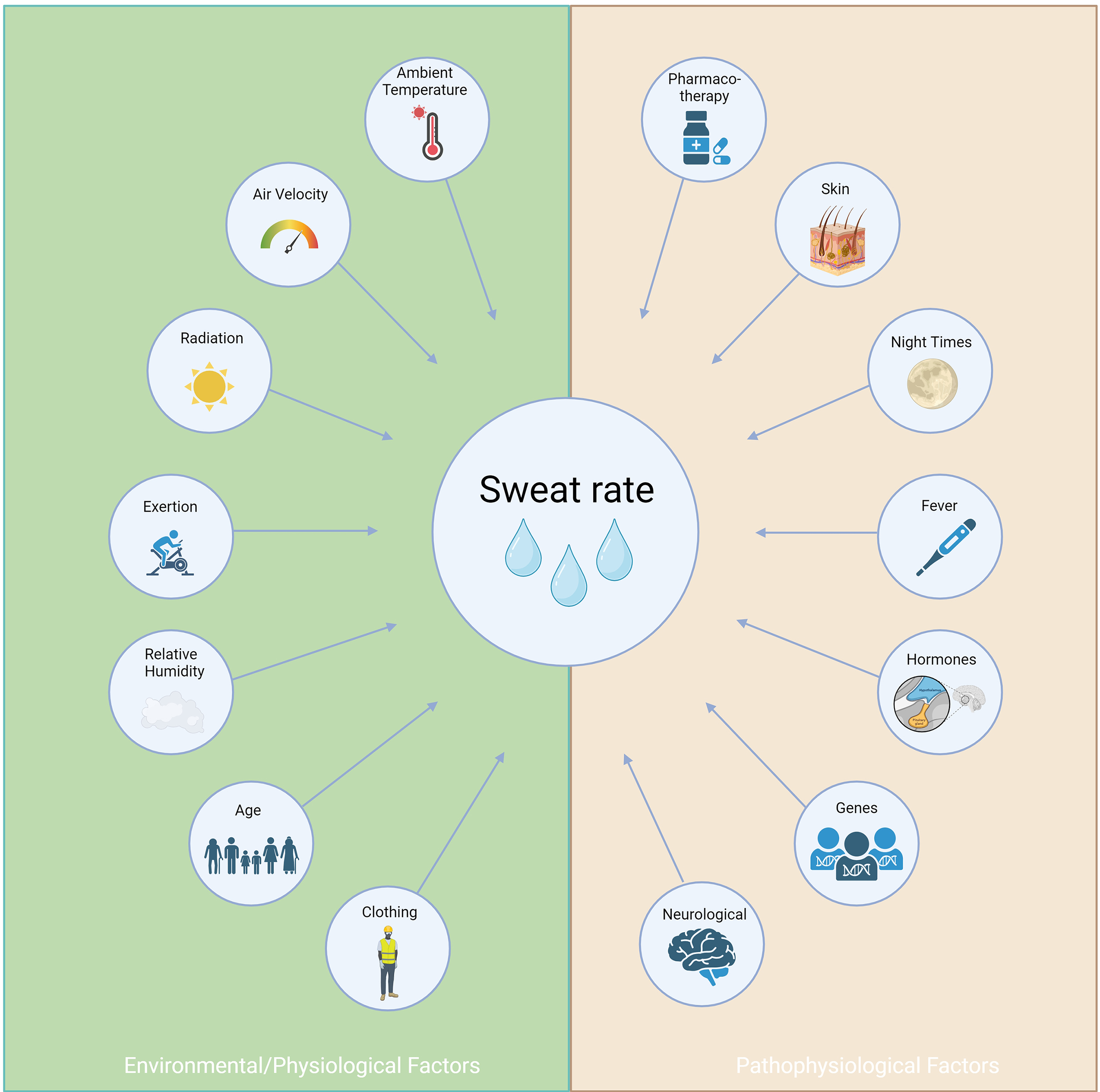 The sweat rate as a digital biomarker in clinical medicine beyond sports science