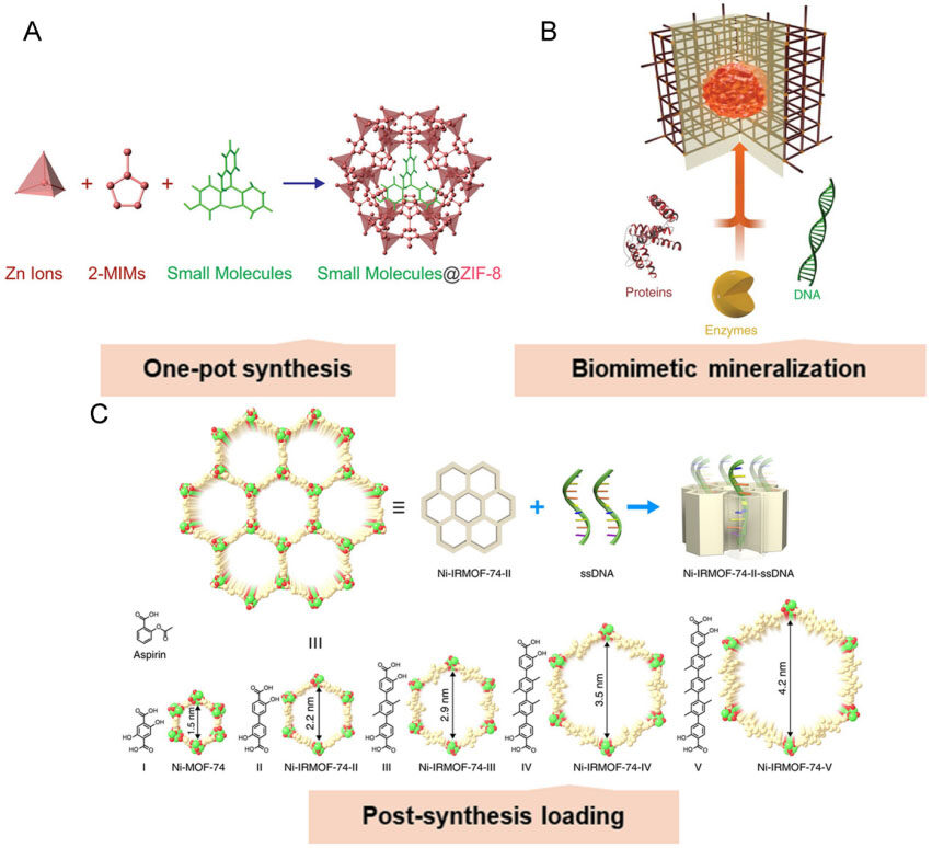 Perspectives of metal-organic framework nanosystem to overcome tumor drug resistance