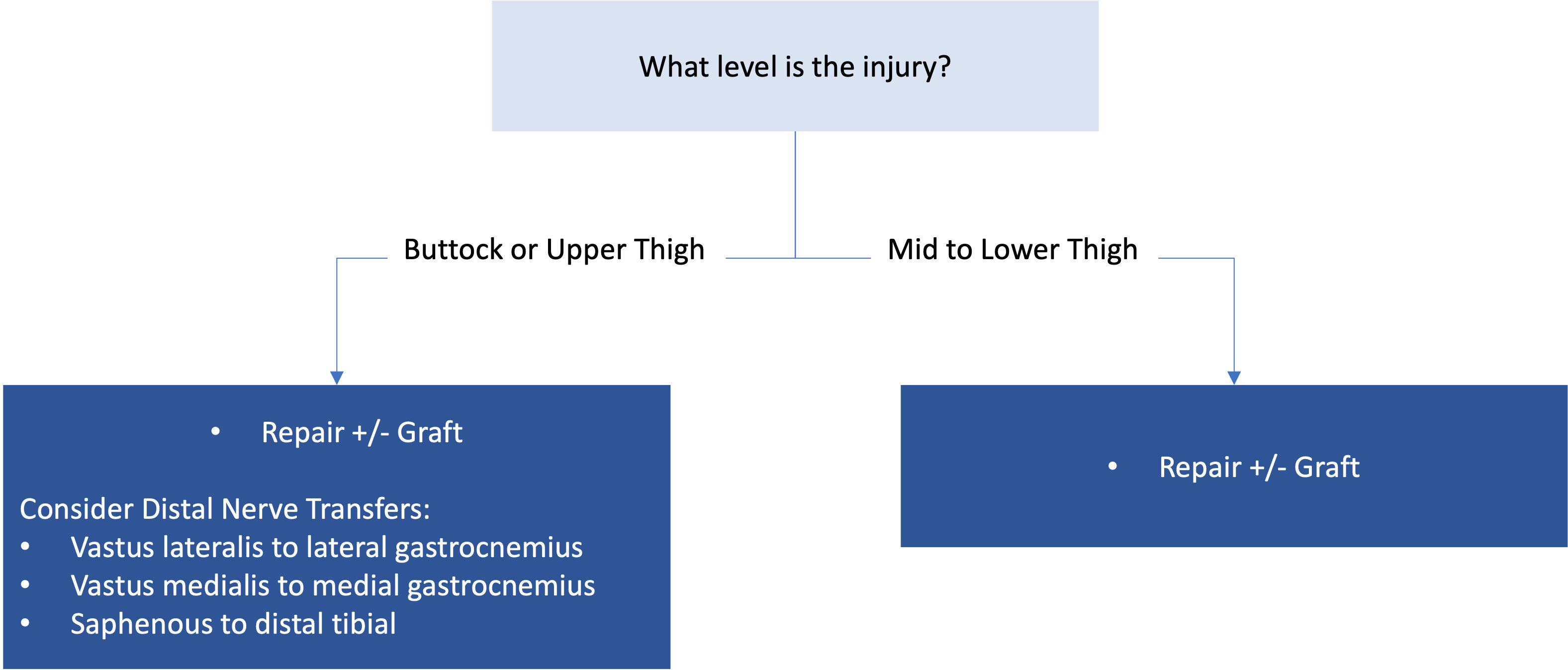 Functional reconstruction of lower extremity nerve injuries