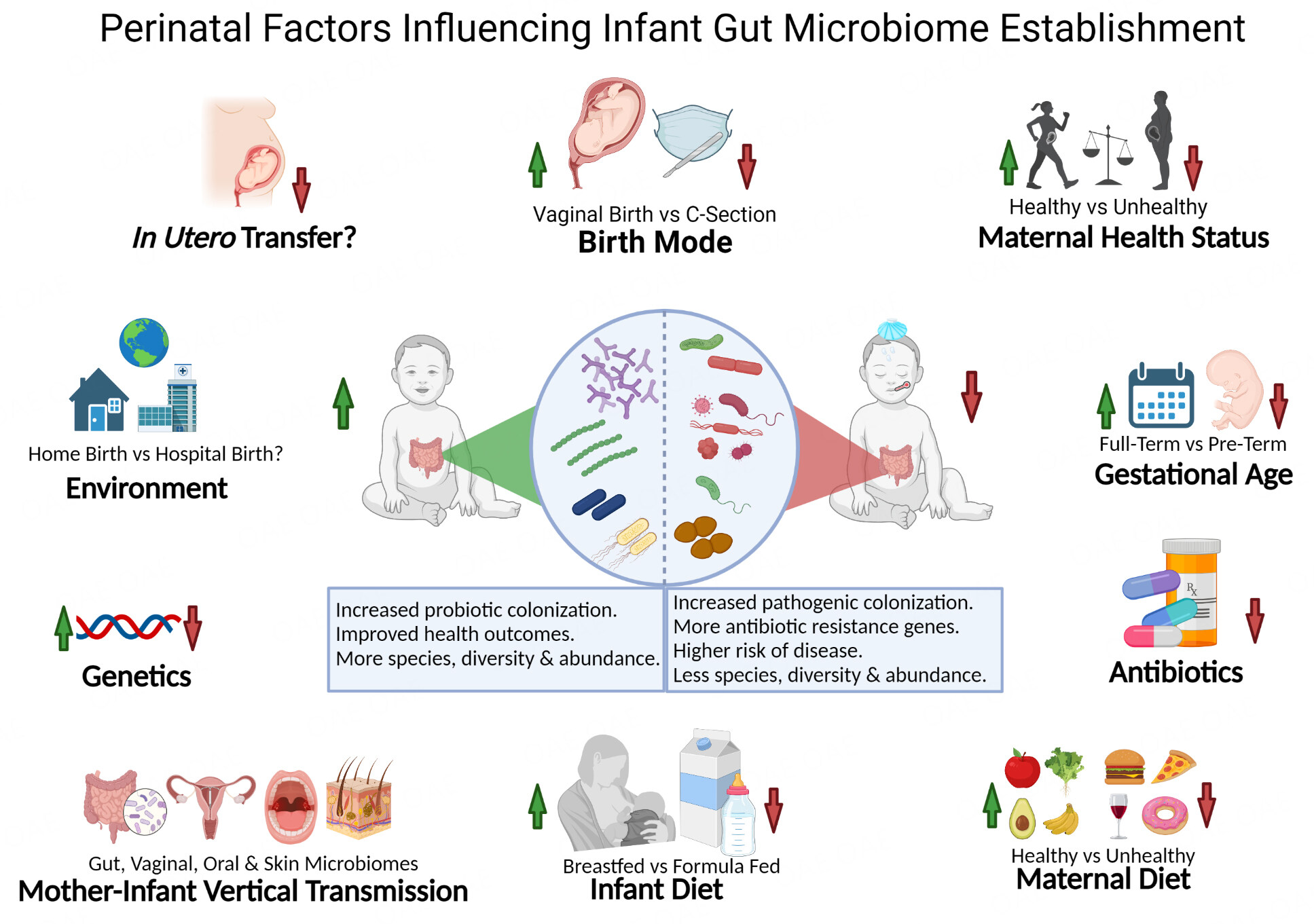 First encounters of the microbial kind: perinatal factors direct infant gut microbiome establishment