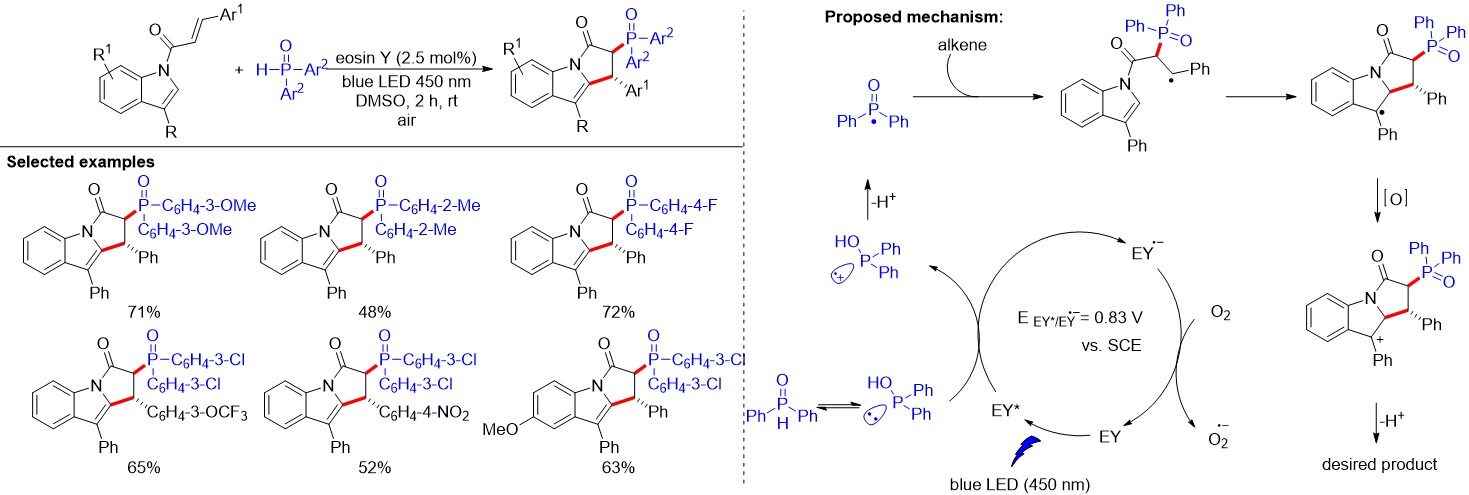 Advances in radical phosphorylation from 2016 to 2021