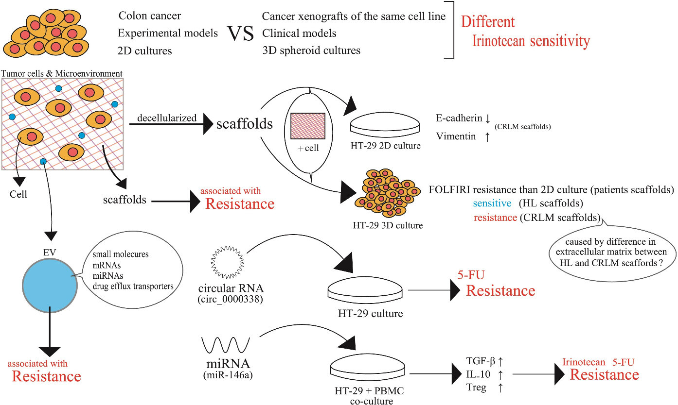Cellular irinotecan resistance in colorectal cancer and overcoming irinotecan refractoriness through various combination trials including DNA methyltransferase inhibitors: a review