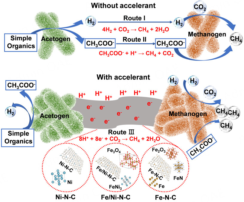 Constructing bimetal, alloy, and compound-modified nitrogen-doped biomass-derived carbon from coconut shell as accelerants for boosting methane production in bioenergy system