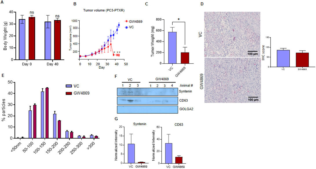 Role of extracellular vesicles secretion in paclitaxel resistance of prostate cancer cells