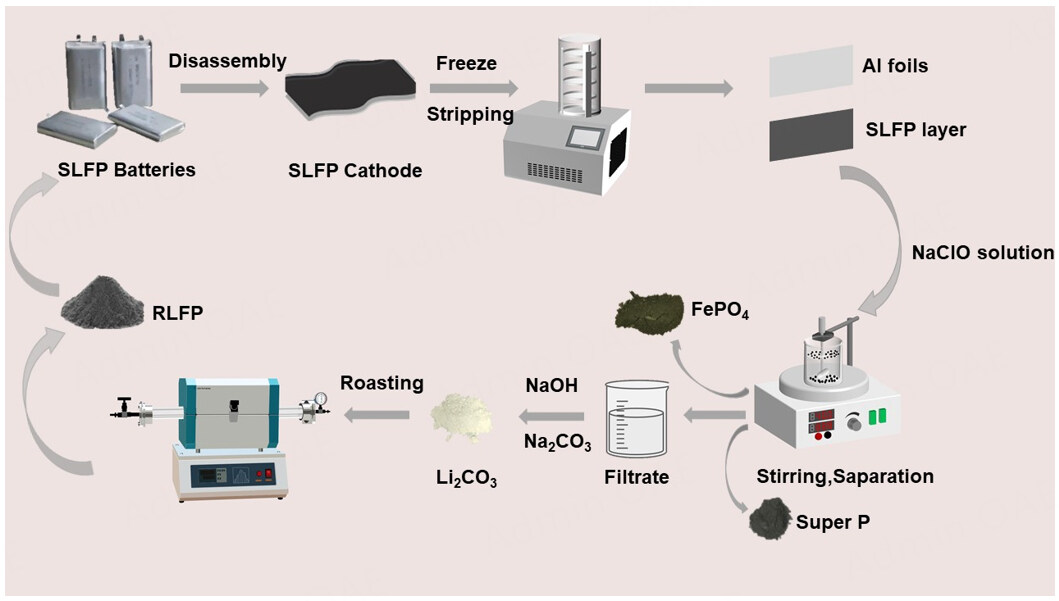 Efficient separation and selective Li recycling of spent LiFePO<sub>4</sub> cathode