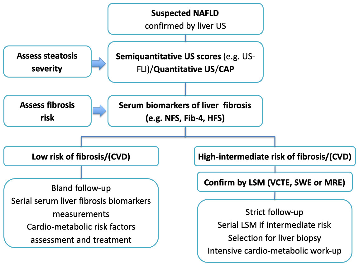 Liver fibrosis in nonalcoholic fatty liver disease patients: noninvasive evaluation and correlation with cardiovascular disease and mortality