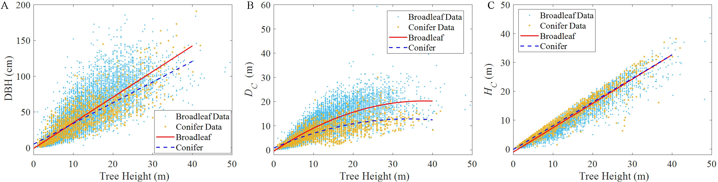 Wind risk assessment of urban street trees based on wind-induced fragility