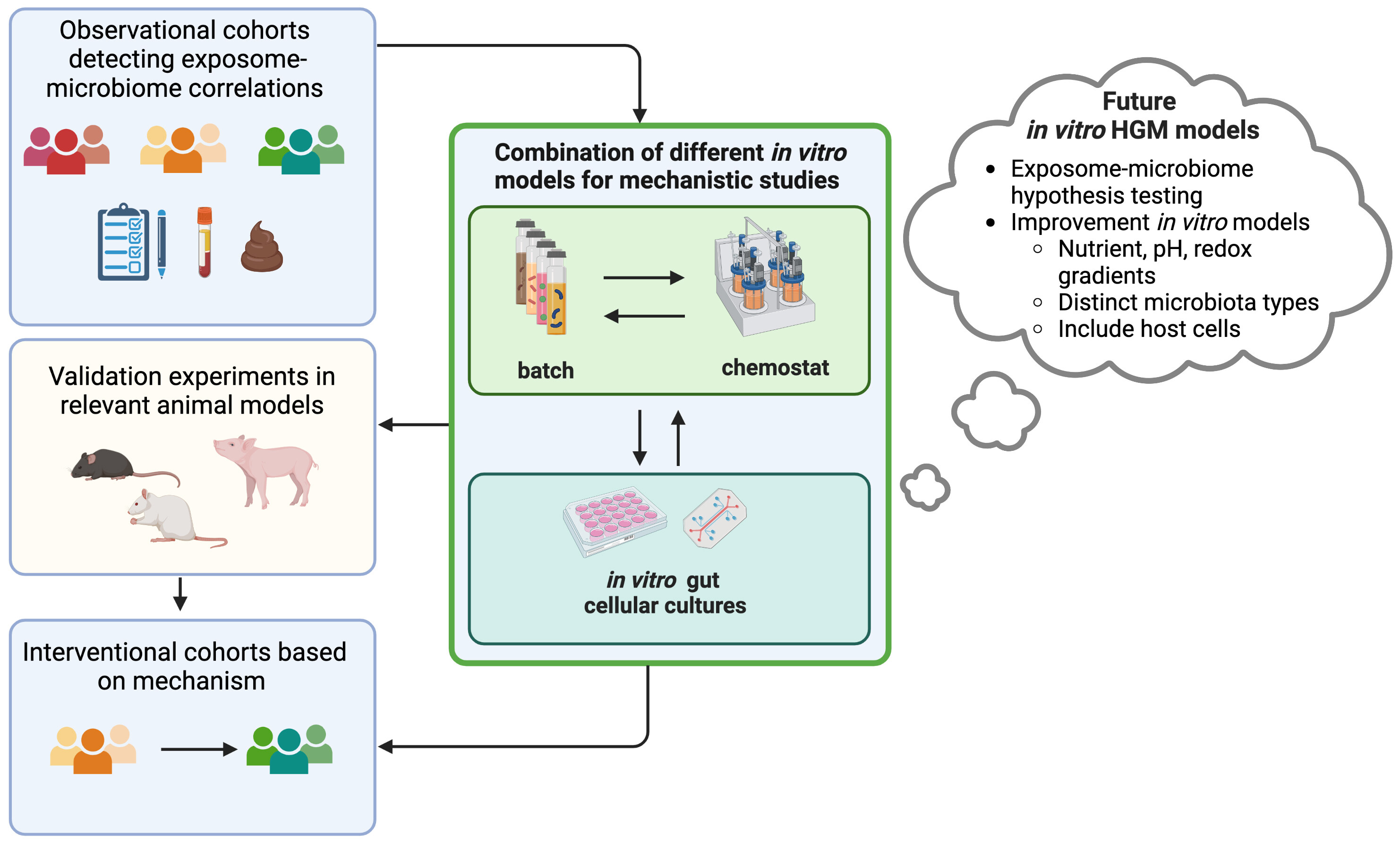 <i>In vitro</i> human gut microbiota fermentation models: opportunities, challenges, and pitfalls