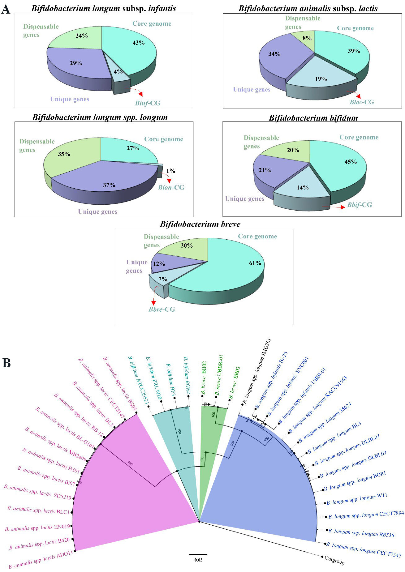 The Integrated Probiotic Database: a genomic compendium of bifidobacterial health-promoting strains