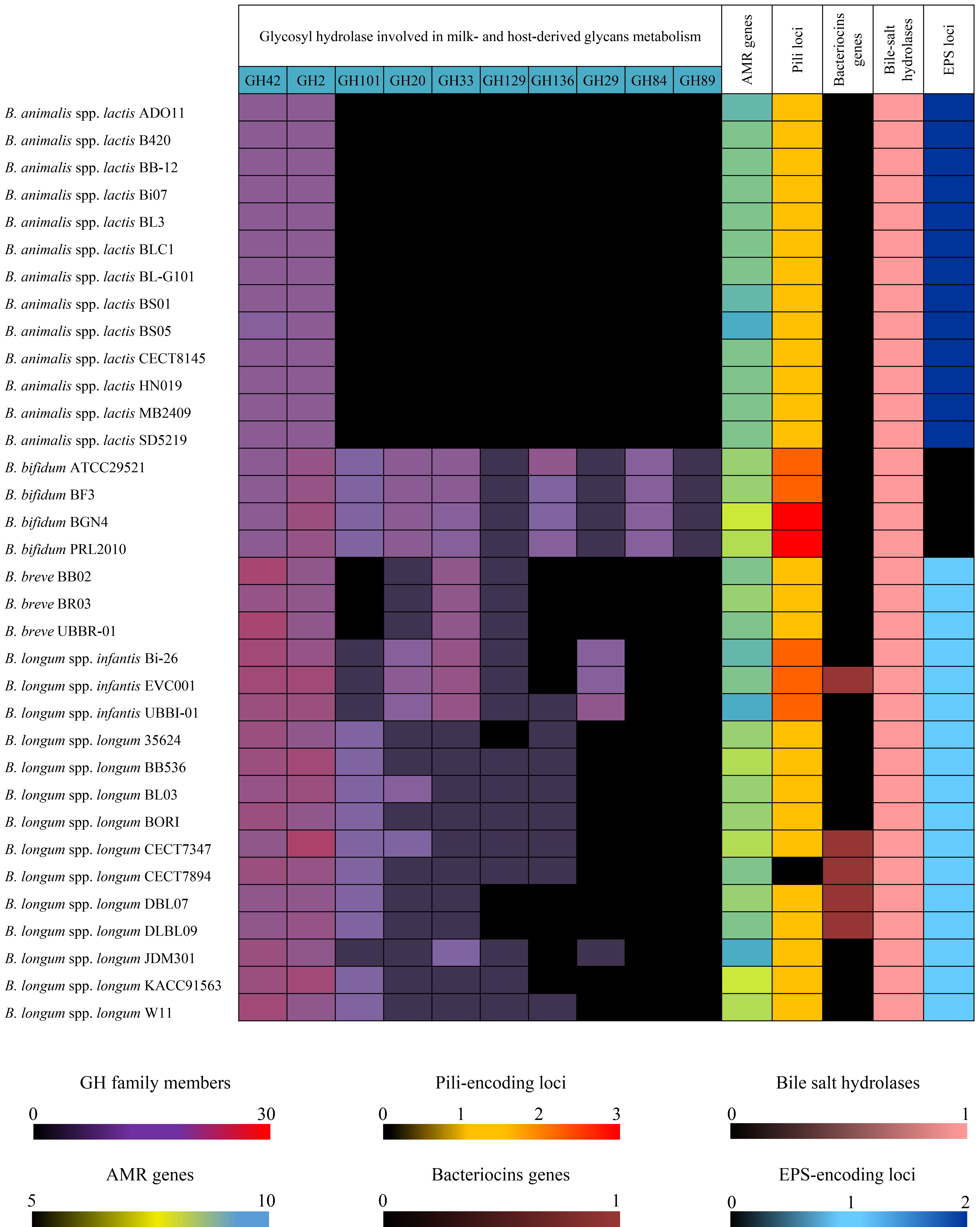 The Integrated Probiotic Database: a genomic compendium of bifidobacterial health-promoting strains