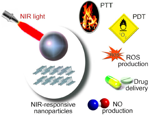 Exploring near-infrared absorbing nanocarriers to overcome cancer drug resistance