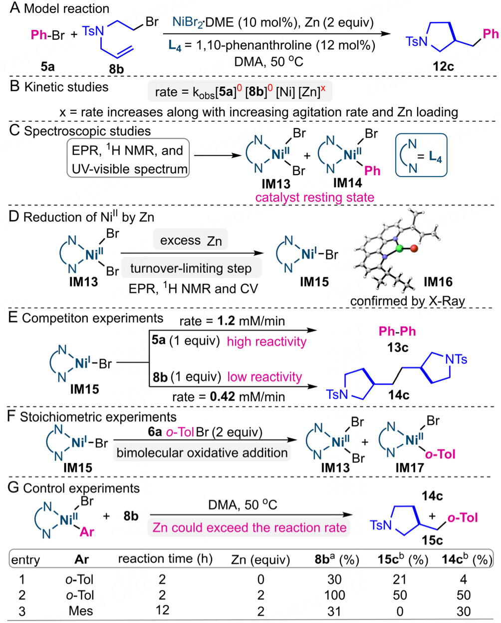 Mechanisms of nickel-catalyzed reductive cross-coupling reactions