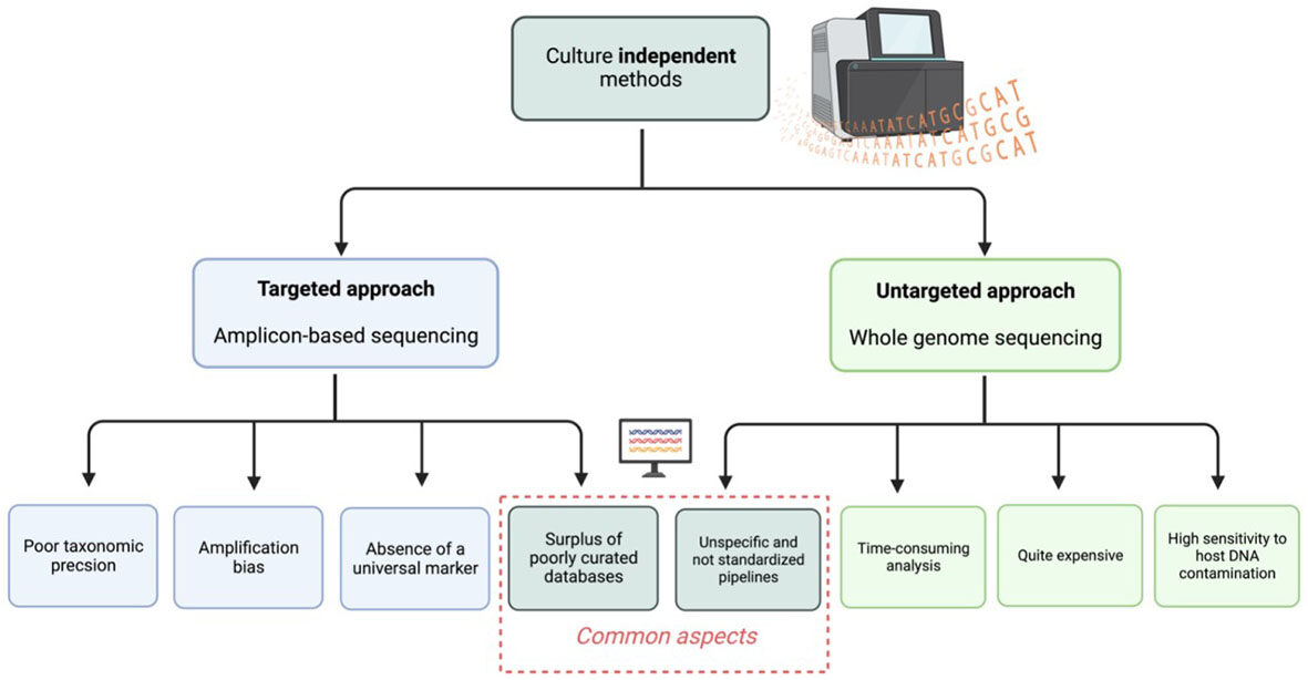 Yeast metagenomics: analytical challenges in the analysis of the eukaryotic microbiome