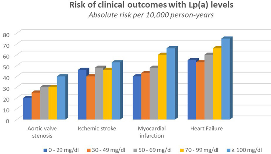 Circulating culprit or therapeutic bullseye: lipoprotein(a) in cardiovascular risk assessment and novel therapeutic prospects