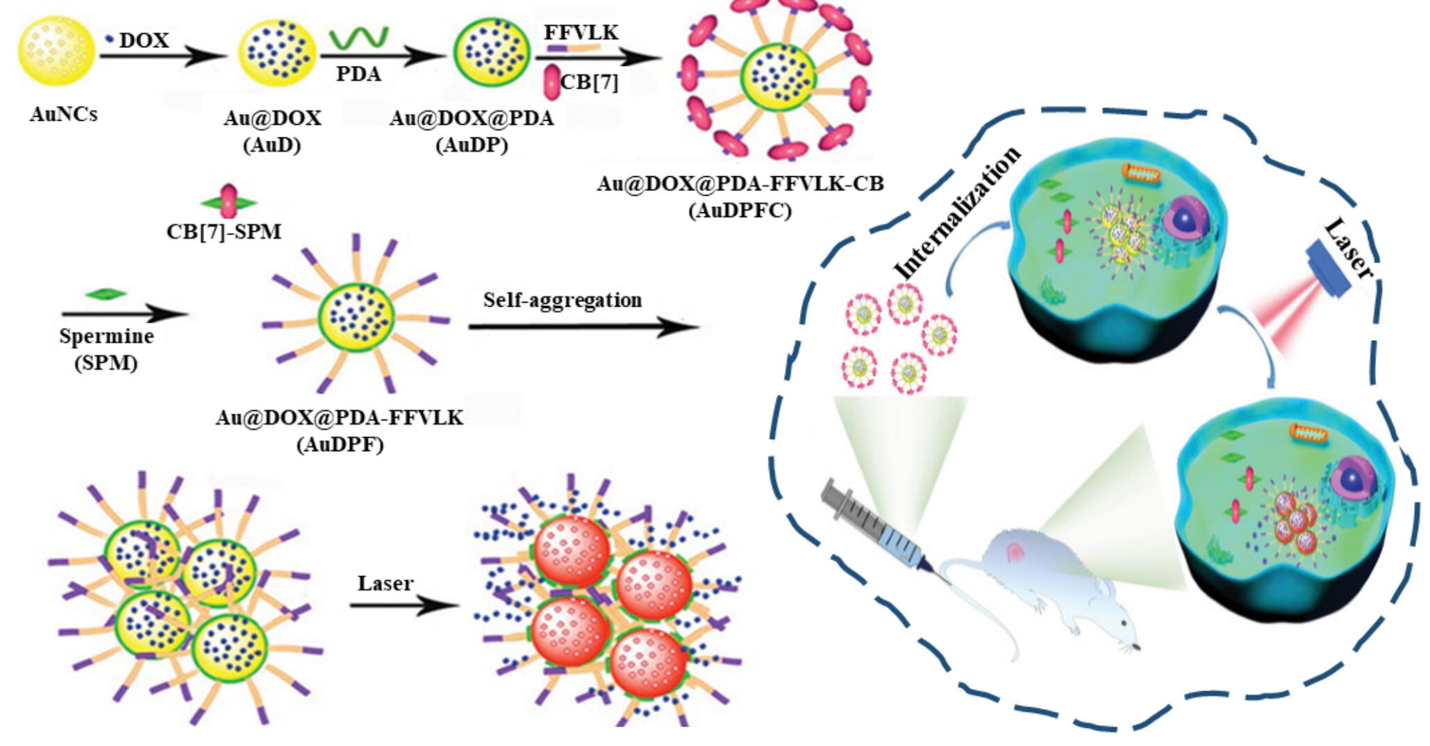 Host-guest assemblies for improved photothermal cancer therapy