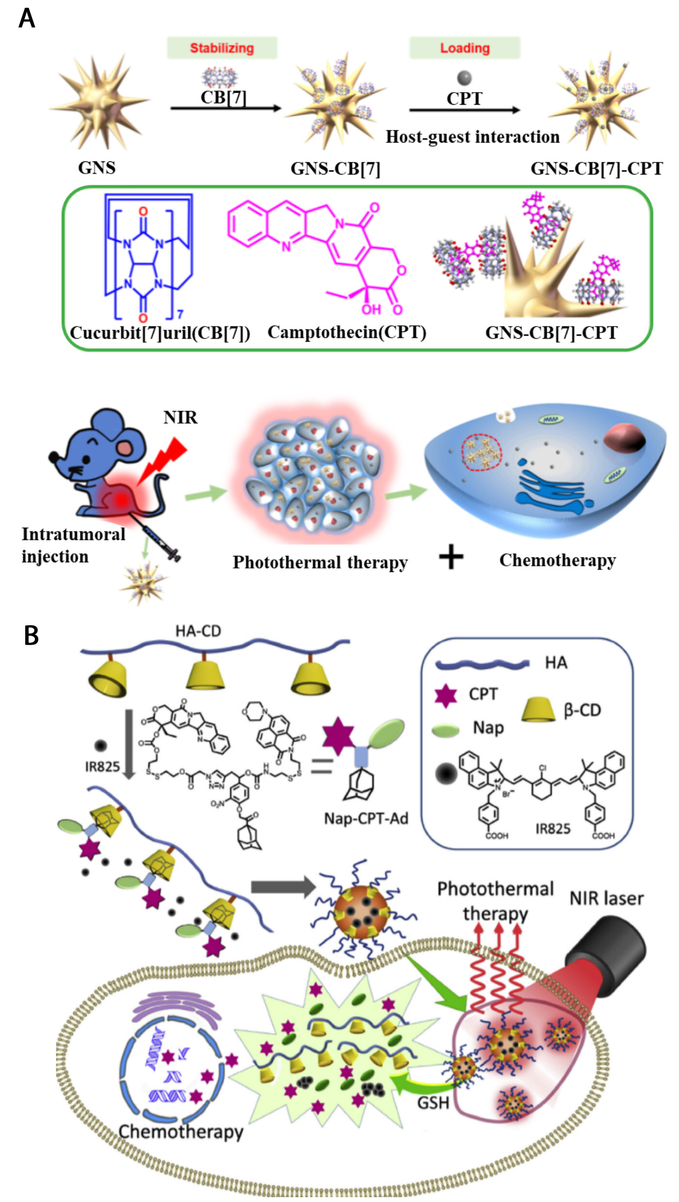 Host-guest assemblies for improved photothermal cancer therapy