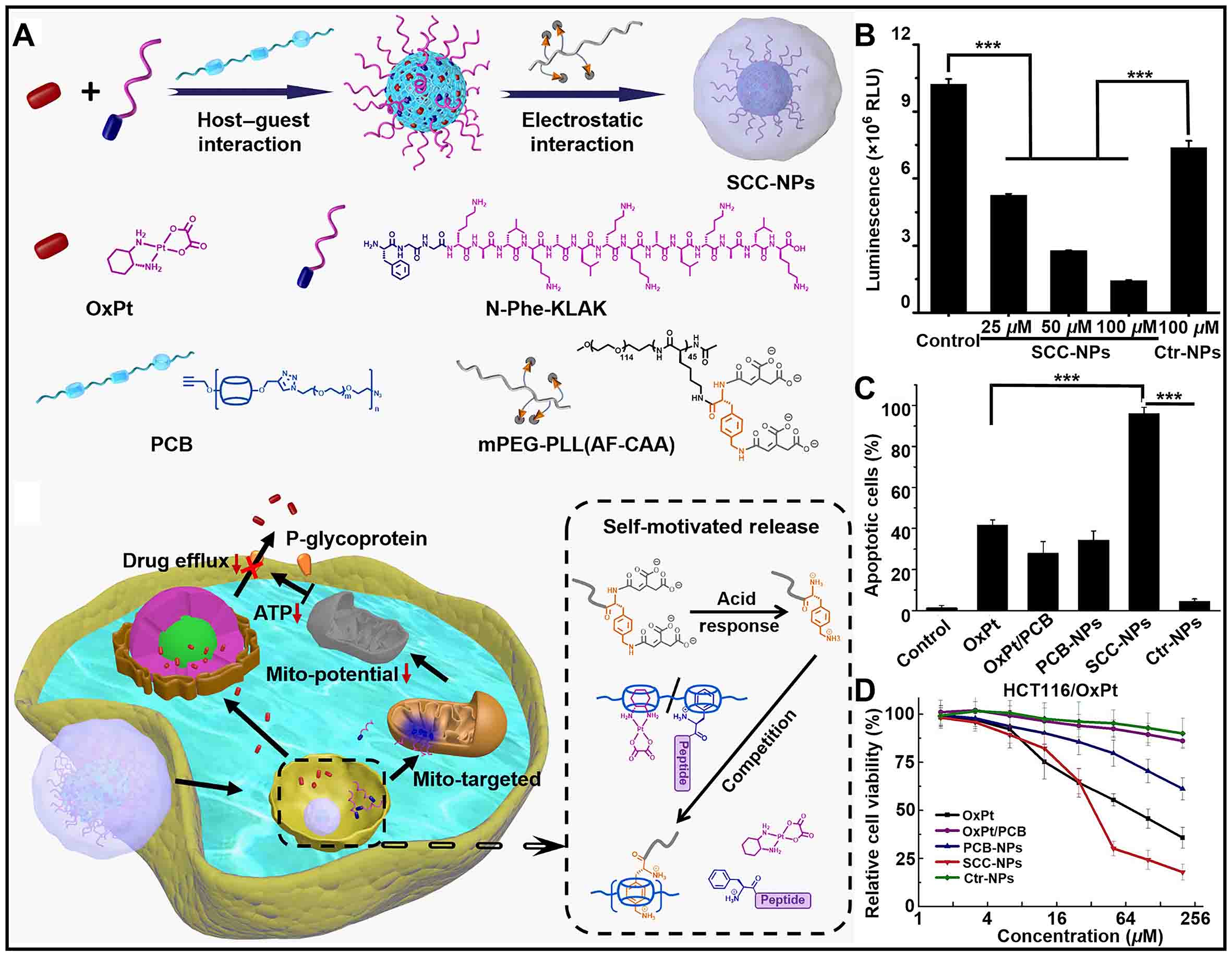 Supramolecular host-guest nanosystems for overcoming cancer drug resistance