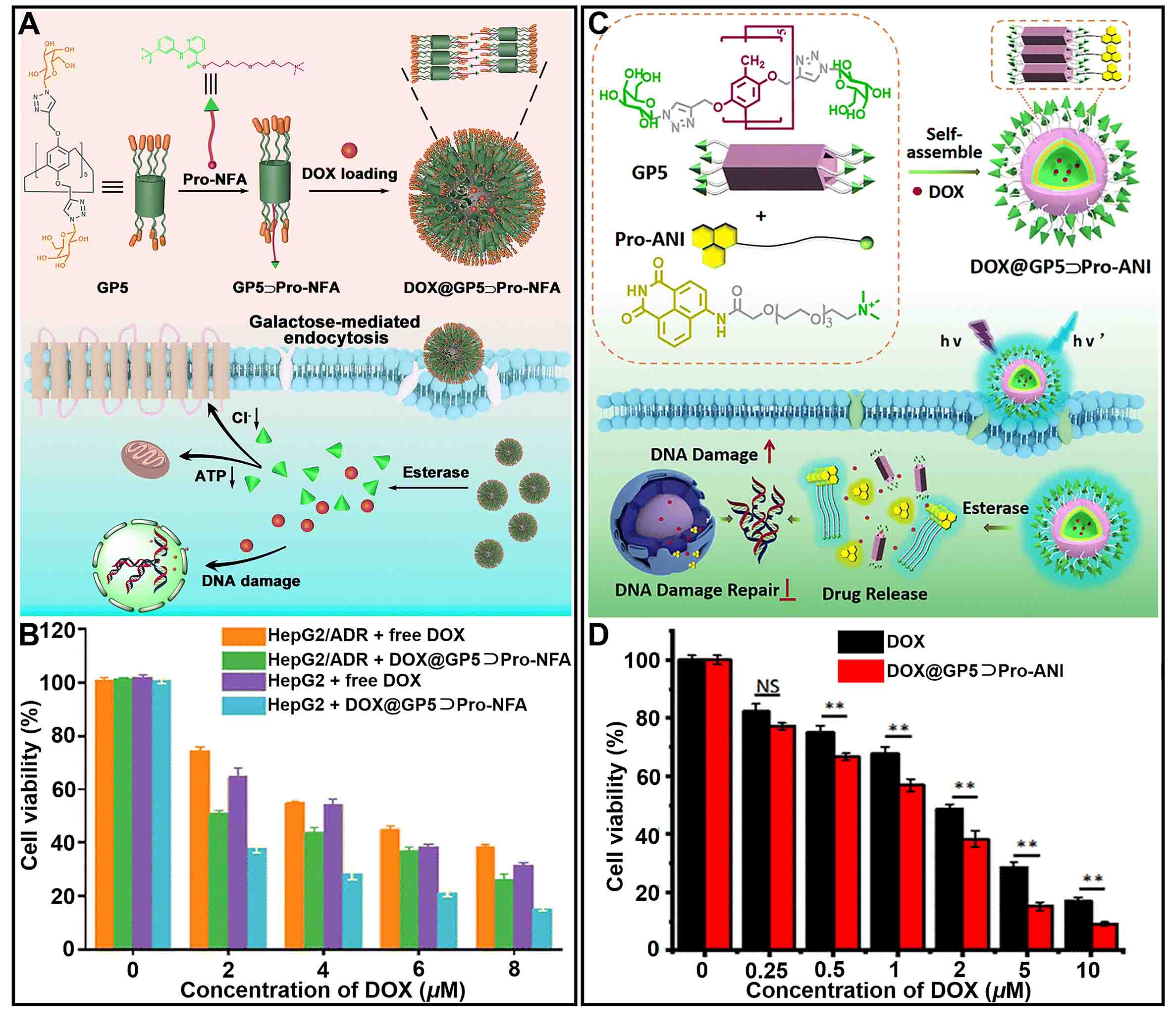 Supramolecular host-guest nanosystems for overcoming cancer drug resistance