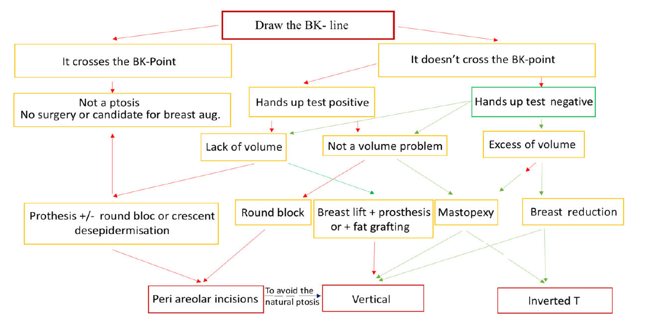 A simple classification and a simplified treatment's algorithm for ptotic breasts