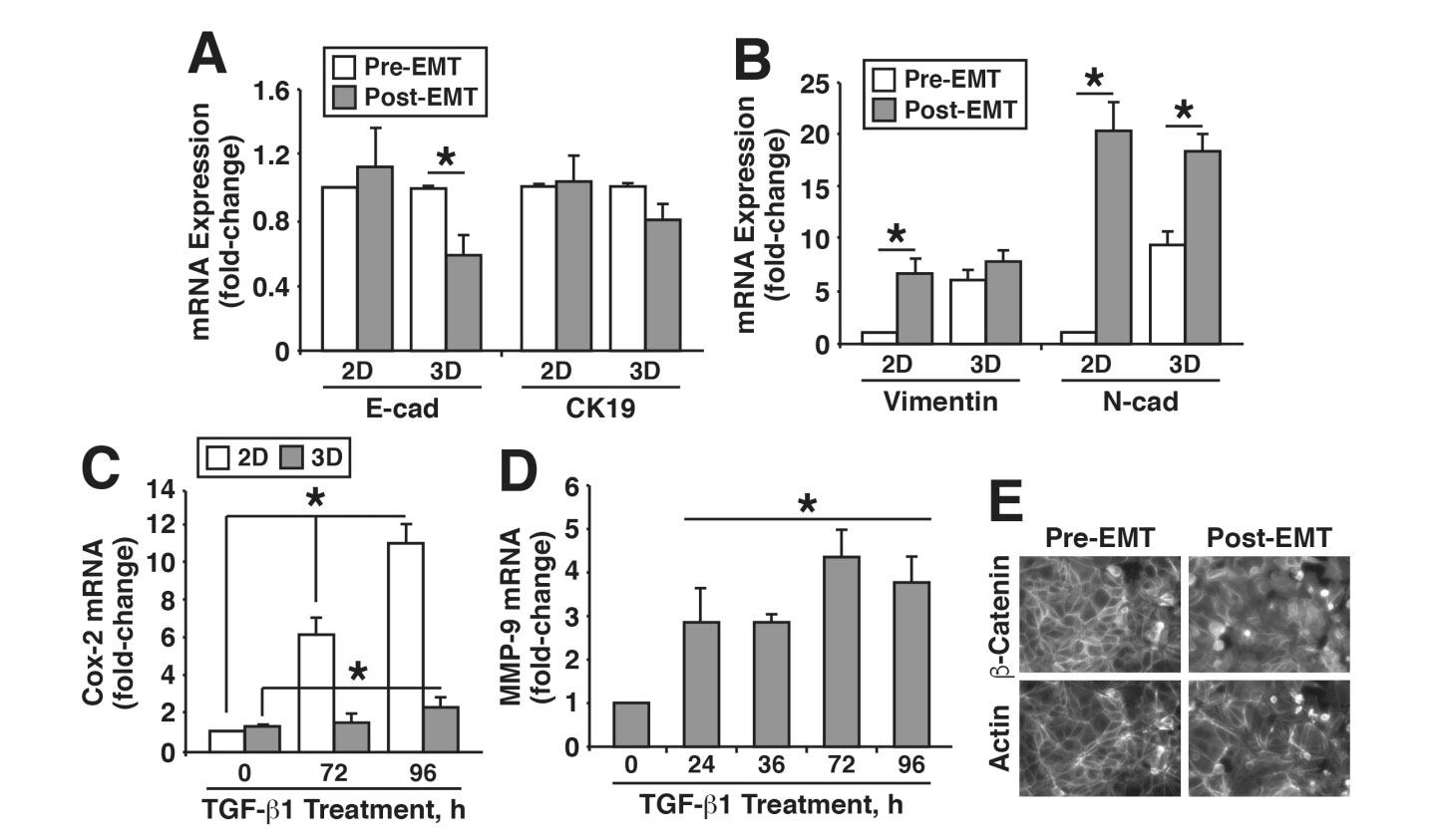 TGF-β stimulation of EMT programs elicits non-genomic ER-α activity and anti-estrogen resistance in breast cancer cells