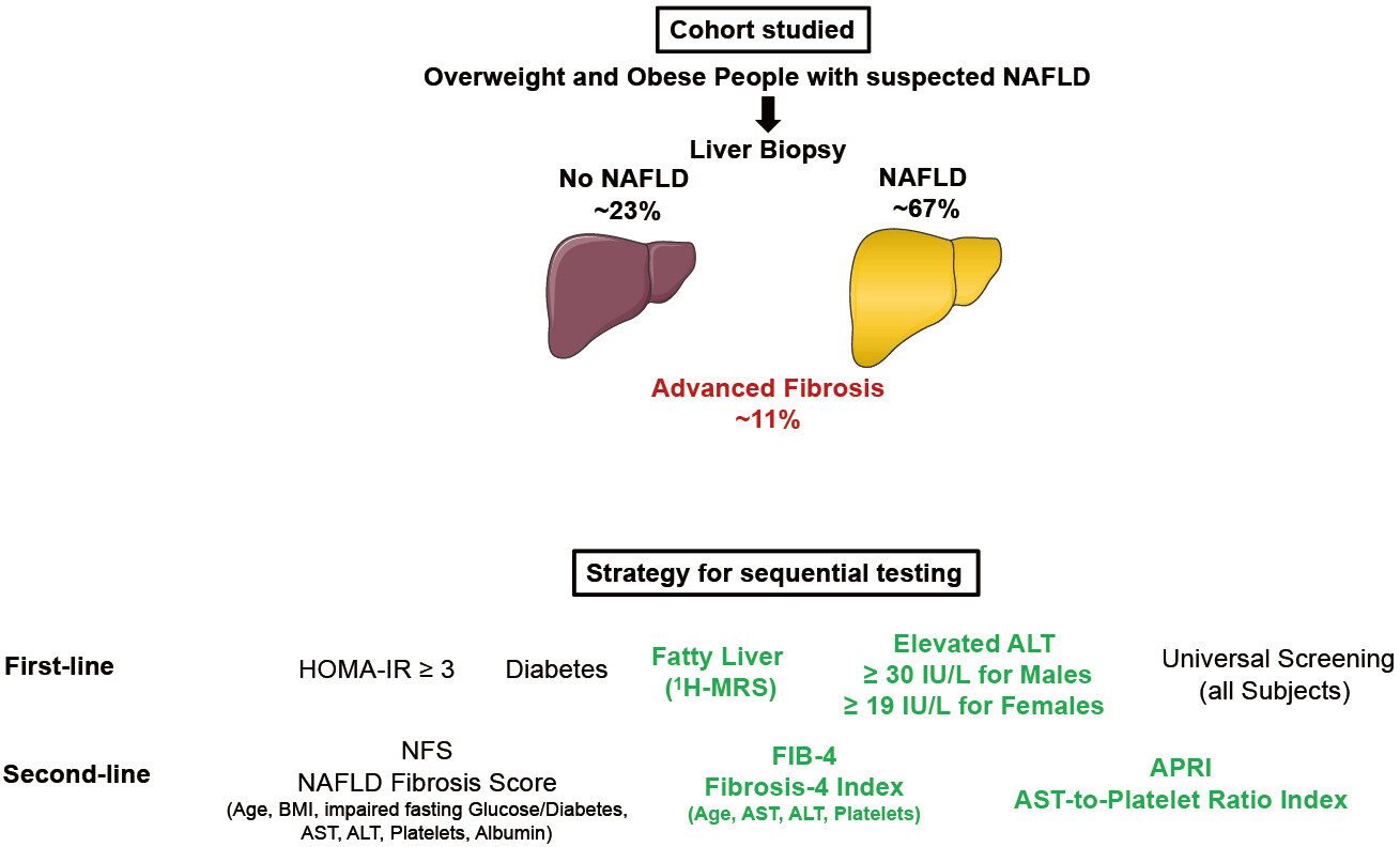Screening for advanced liver fibrosis in overweight and obese patients with NAFLD
