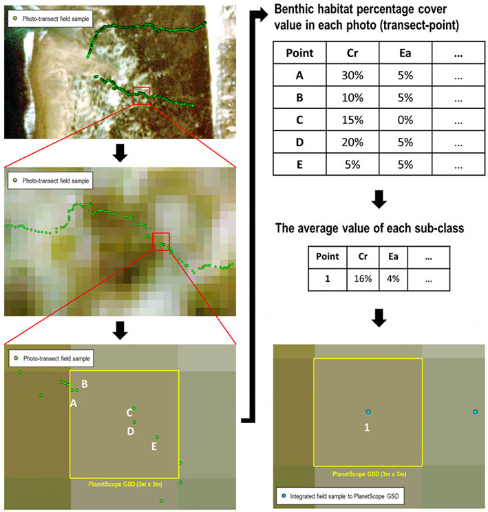Seagrass ecosystem biodiversity mapping in part of Rote Island using multi-generation PlanetScope imagery