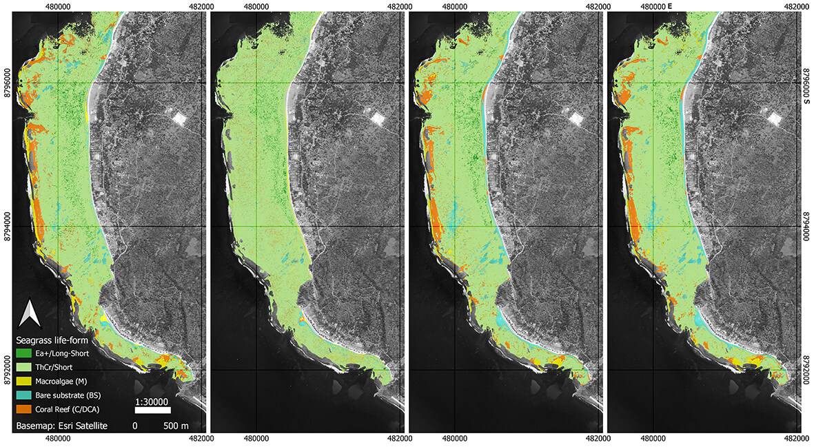 Seagrass ecosystem biodiversity mapping in part of Rote Island using multi-generation PlanetScope imagery