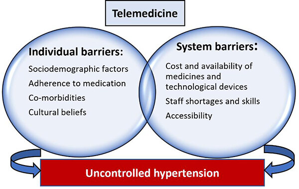 Hypertension management in sub-Saharan Africa: an overview of challenges and opportunities for telemedicine