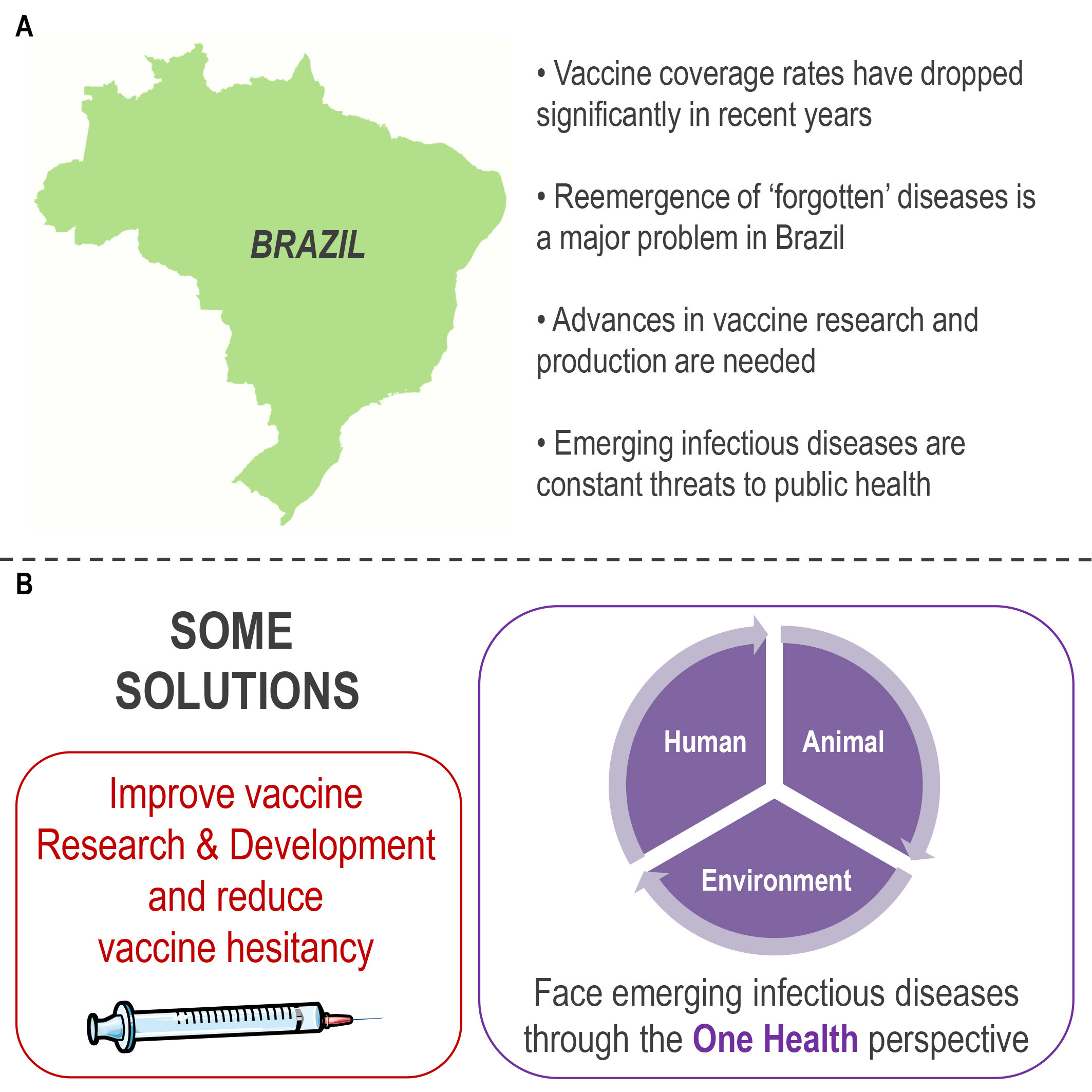Remembrance and oblivion in vaccine development and vaccination coverage rates in Brazil: addressing vaccinology based on the One Health perspective
