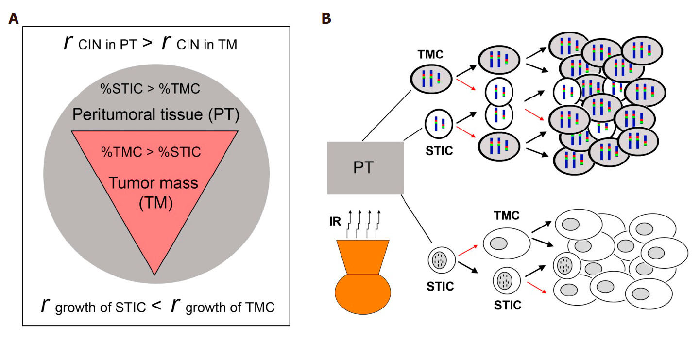 Extracellular control of chromosomal instability and maintenance of intra-tumoral heterogeneity