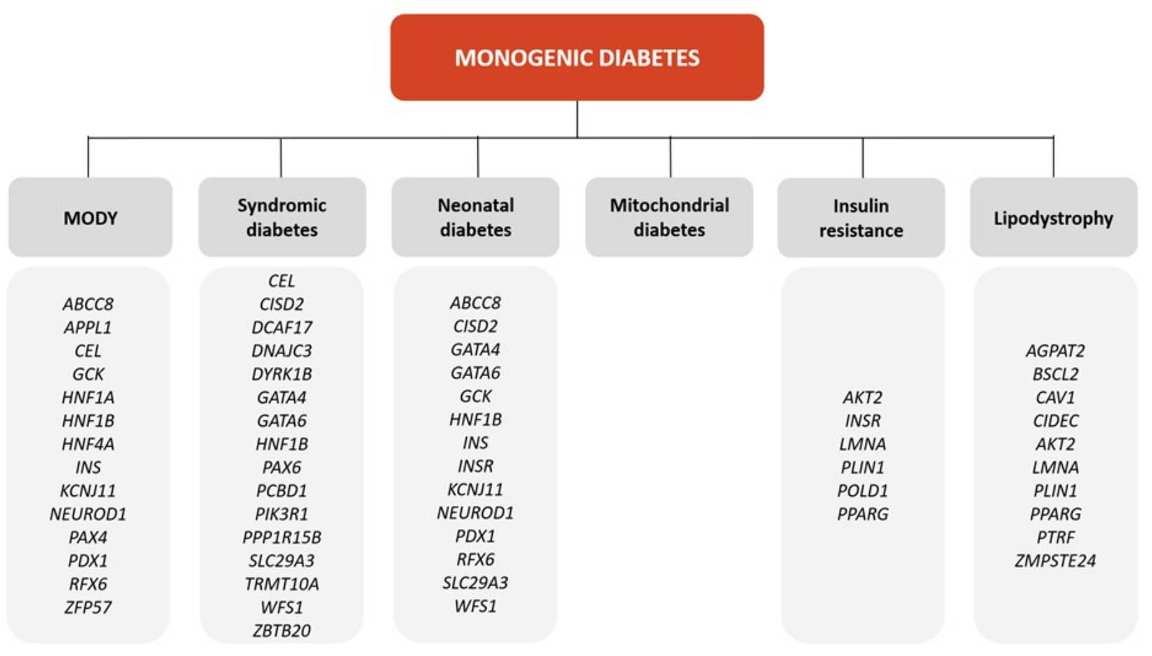 Multifaceted nature of young-onset diabetes - can genomic medicine improve the precision of diagnosis and management?