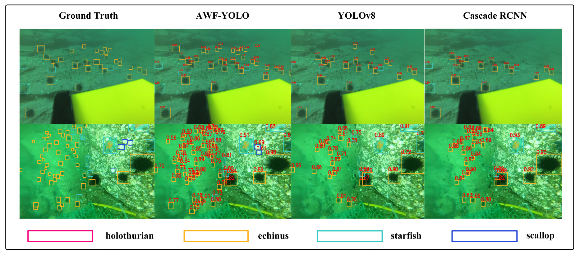 AWF-YOLO: enhanced underwater object detection with adaptive weighted feature pyramid network