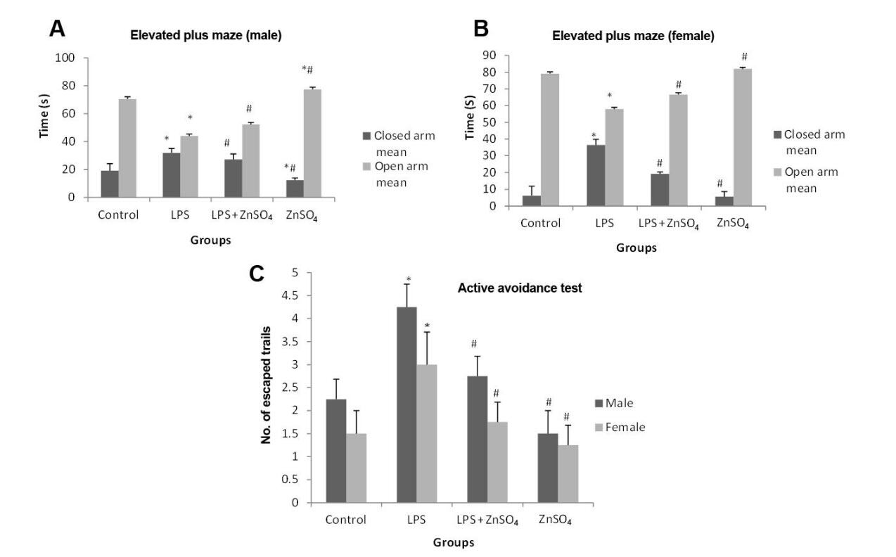 Prenatal zinc supplementation to lipopolysaccharide infected female rats prevents neurochemical, behavioral and biochemical deficits produced in infants