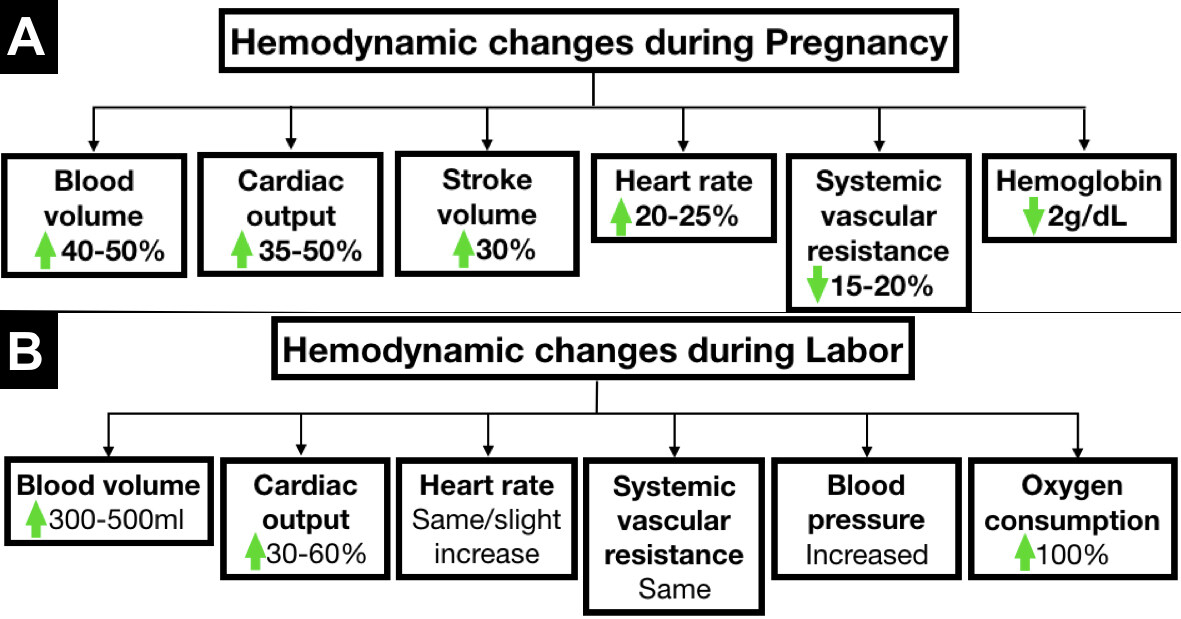 Pregnancy with congenital heart disease