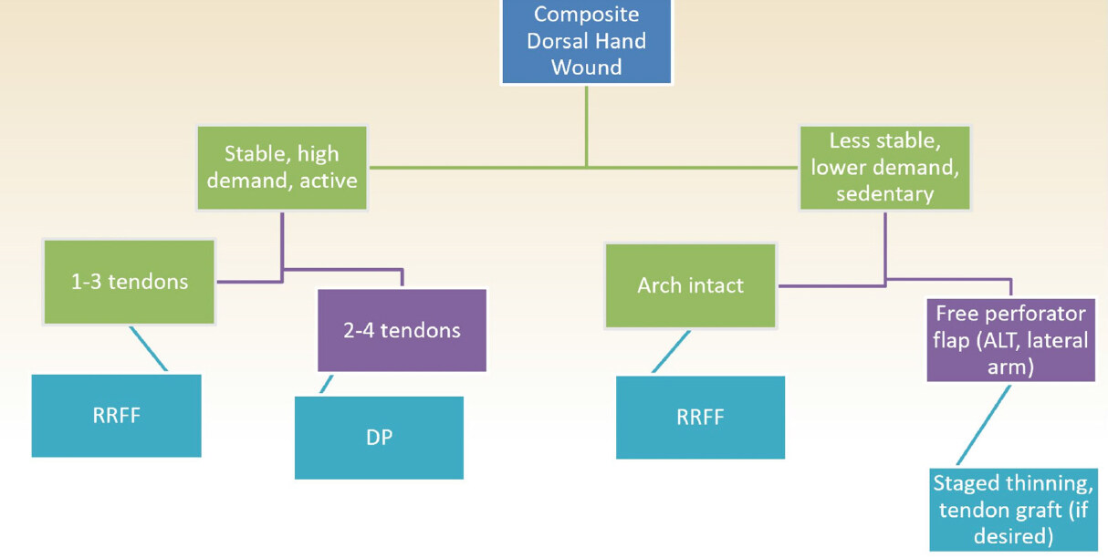 Review of the optimal timing and technique for extensor tendon reconstruction in composite dorsal hand wounds