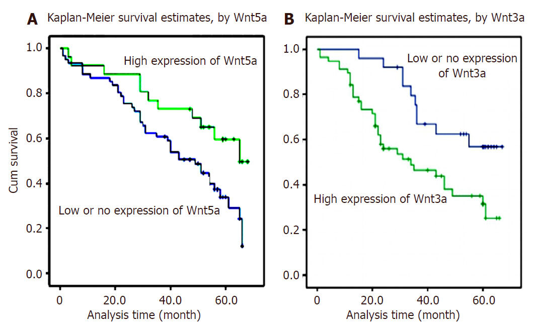 Oncogenic Wnt3a: a promising specific biomarker in hepatocellular carcinoma