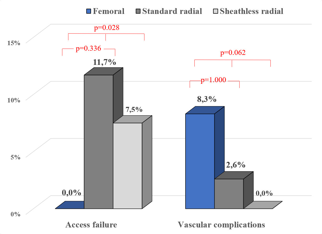 Sheathless radial approach in contemporary coronary rotational atherectomy: data from two high-volume centers