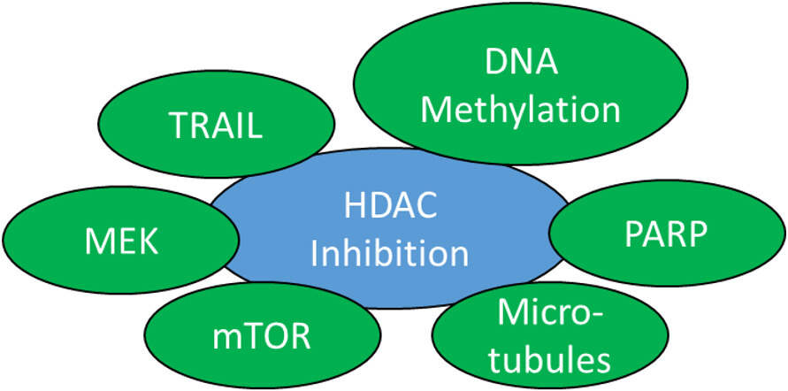 HDAC inhibitors with potential to overcome drug resistance in castration-resistant prostate cancer