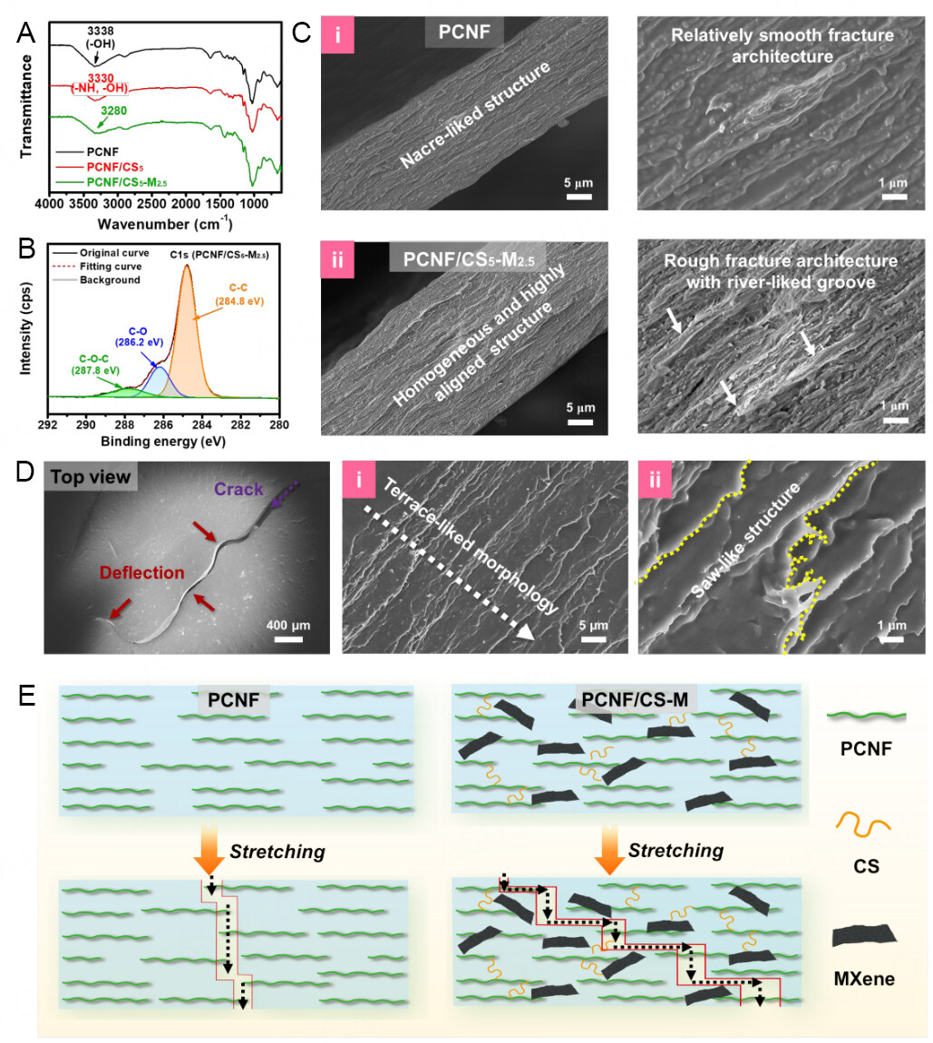 Mechanically flexible and flame-retardant cellulose nanoﬁbril-based films integrated with MXene and chitosan