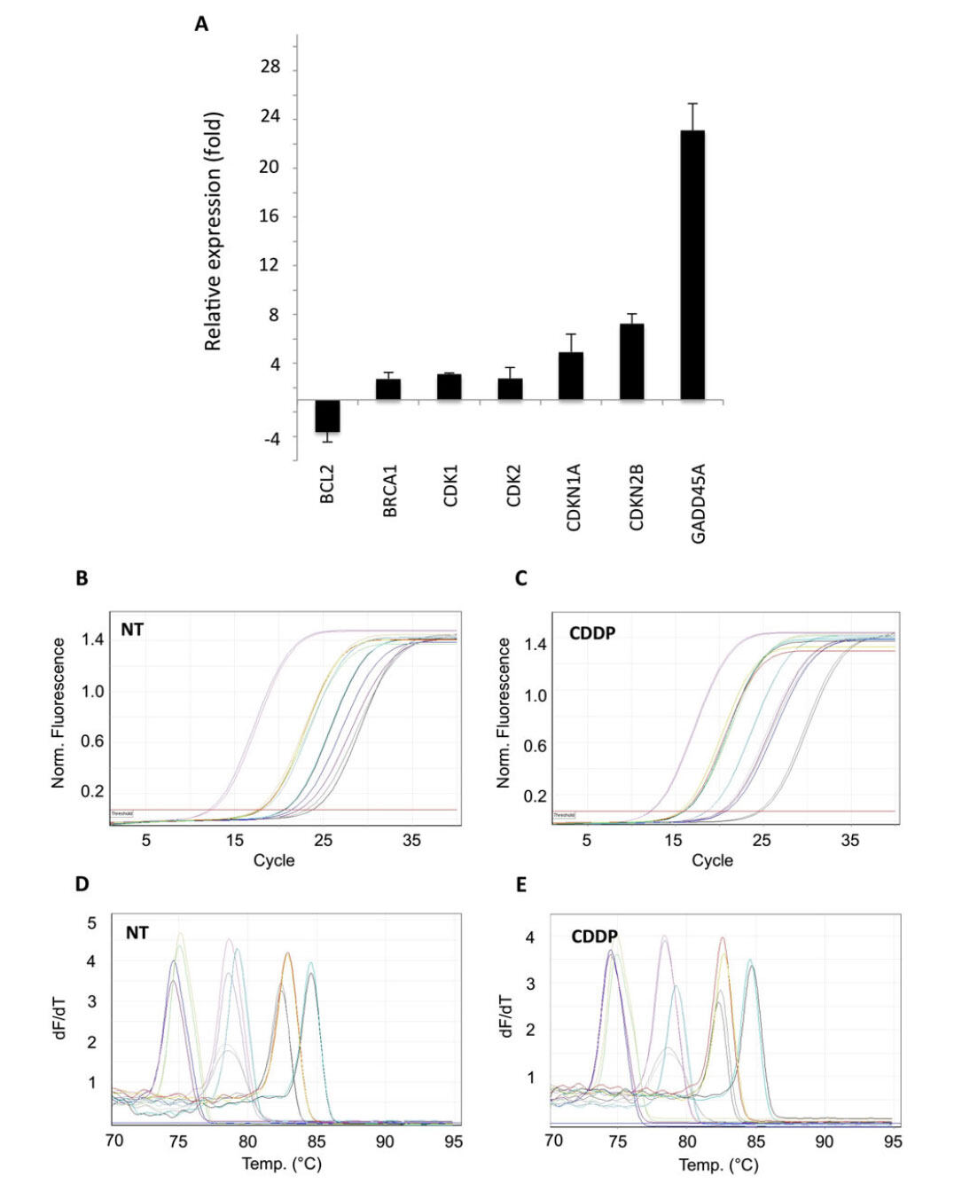 Real-time quantitative PCR array to study drug-induced changes of gene expression in tumor cell lines