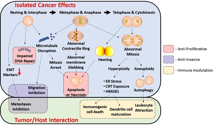 Novel approaches to therapeutics in pancreatic adenocarcinoma: vitamin C and tumor treatment fields