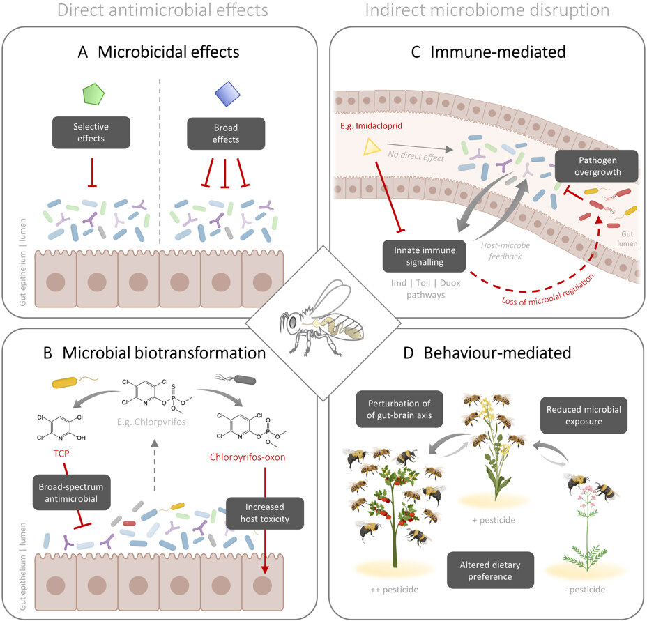 Deteriorating microbiomes in agriculture - the unintended effects of pesticides on microbial life