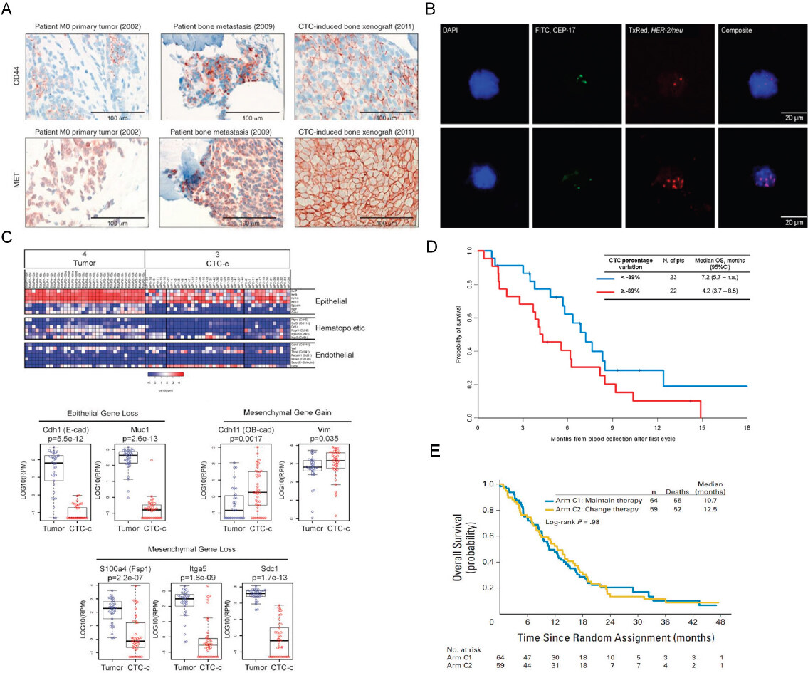 Sensitive and specific detection of circulating tumor cells promotes precision medicine for cancer