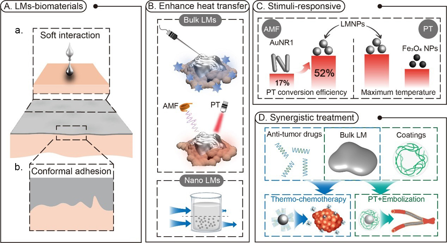 Liquid metals enabled advanced cryobiology: development and perspectives