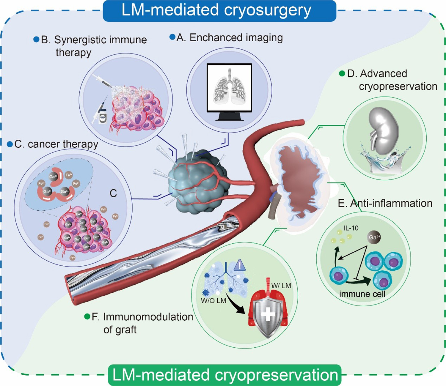 Liquid metals enabled advanced cryobiology: development and perspectives