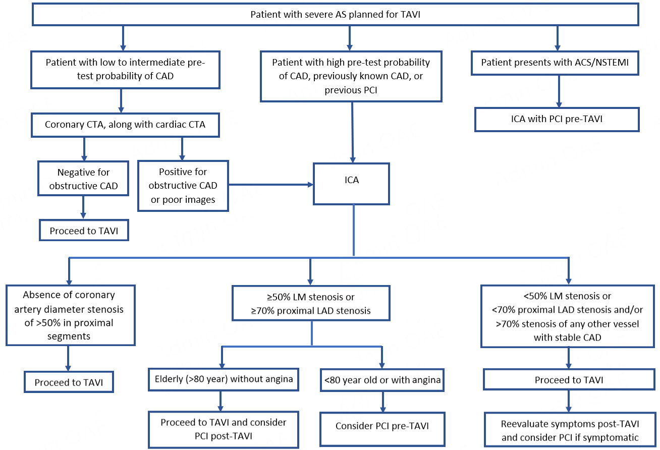 Evaluation and management of coronary artery disease in patients undergoing transcatheter aortic valve implantation