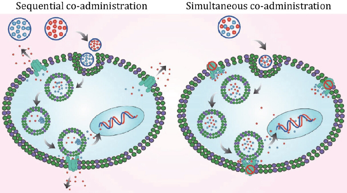 Albumin-based nanoparticles: a promising strategy to overcome cancer drug resistance