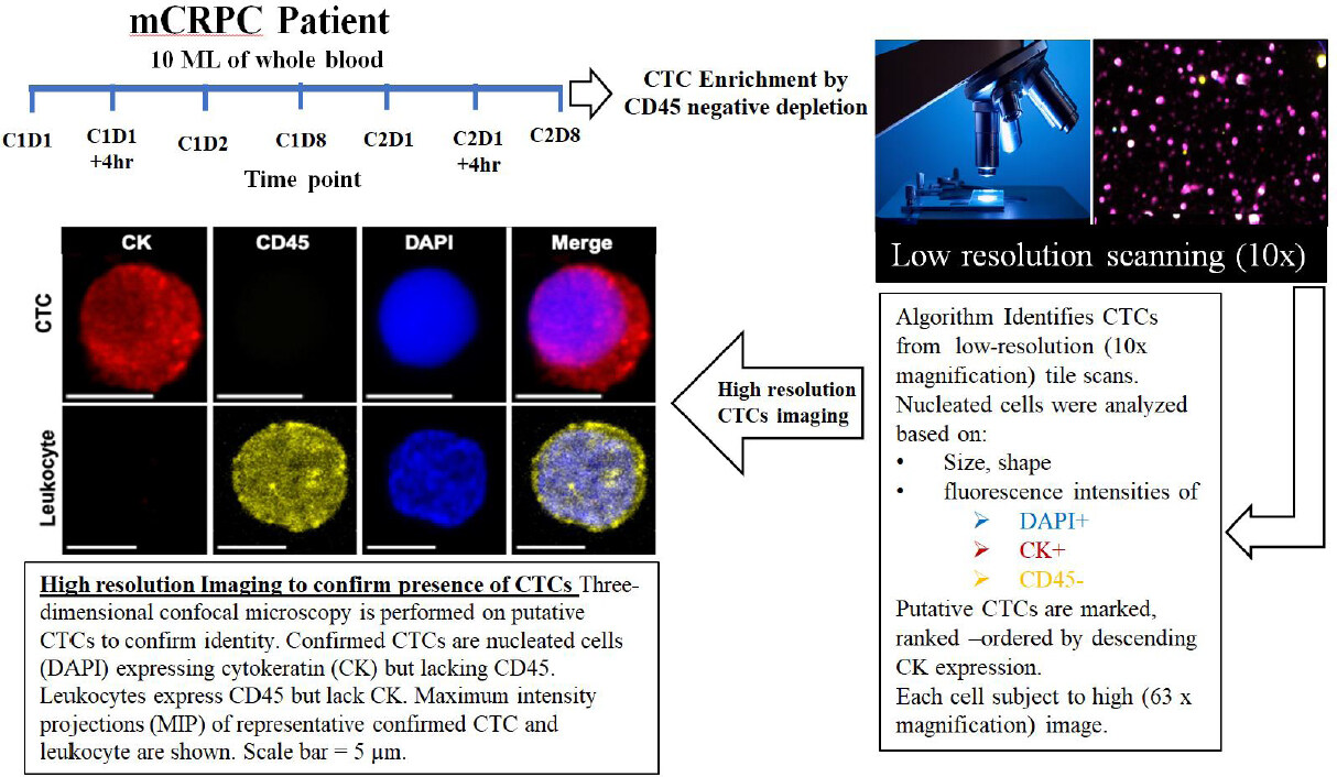 Quantitative analysis of taxane drug target engagement of microtubules in circulating tumor cells from metastatic castration resistant prostate cancer patients treated with CRXL301, a nanoparticle of docetaxel