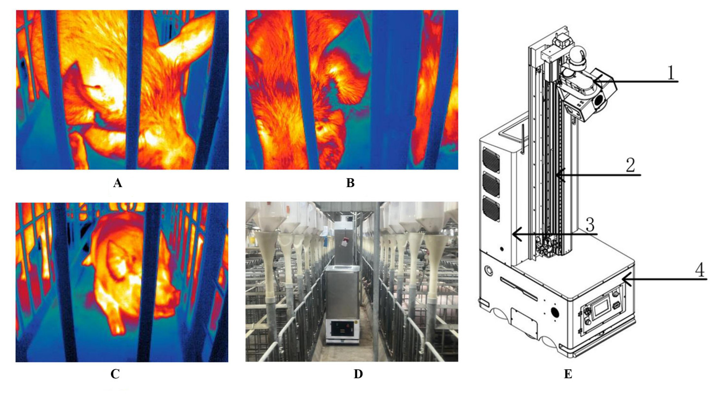 Pig-ear detection from the thermal infrared image based on improved YOLOv8n